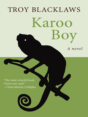 cover image of Karoo Boy